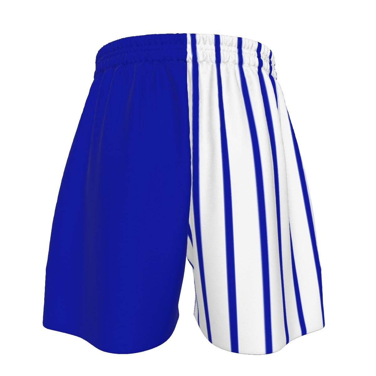 A-B Colorblock Pin Stripe Shorts Sport Shorts (All Sizes)
