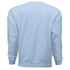 LIGHT BLUE - BACK
