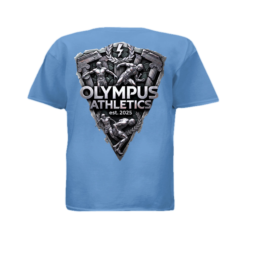 Heather Columbia Blue - 3312 - BACK