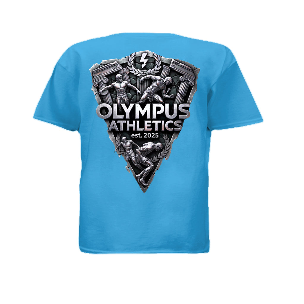 TURQUOISE - 3312 - BACK