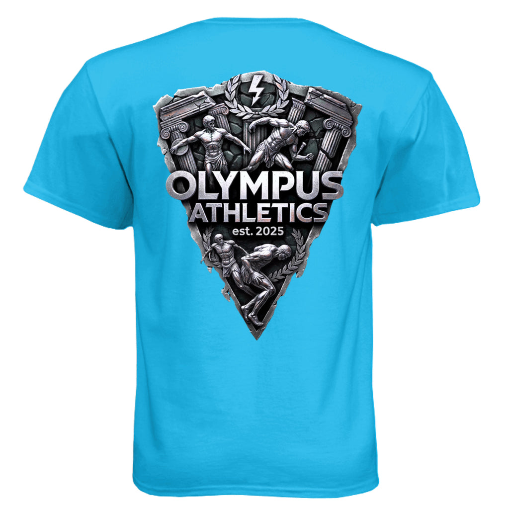 Turquoise - N6210 - BACK