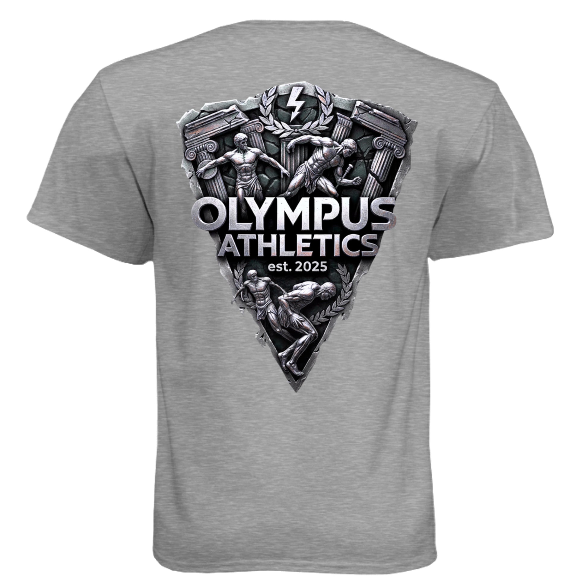 Dark Heather Grey (60/40) - N6210 - BACK